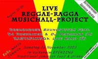 Reggae Night@Volksheim