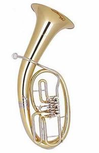 Tenorhorn for live