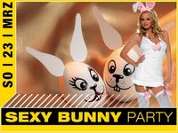 Sexy Bunny Party