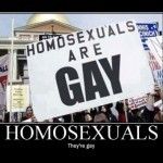||||||||||  HOMOSEXUALS ARE GAY  ||||||||||