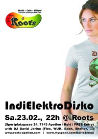 IndiElektroDisko@Back to the Roots