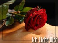 DIE LIEBE