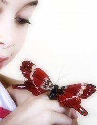 Gruppenavatar von butterflies