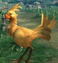 Gruppenavatar von Chocobo Fanclub