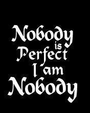 nOBOdy Is PERFecT ...,. I Am NOBodY