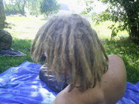 RASTA OR DREADS