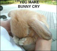 Gruppenavatar von YOU MAKE BUNNY CRY