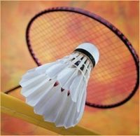 Gruppenavatar von Badmintonspieler, die in Ö unter der Top 32 sind