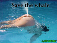 Gruppenavatar von Rettet die Wale