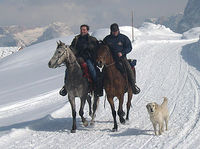 Gruppenavatar von Reiten ist der schönste Sport den es gibt!!!!!!!