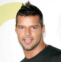 Gruppenavatar von ricky martin ist homosexuell