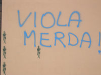Gruppenavatar von Viola Merda