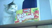 Nicht oHne meIne LachGuMMi`s