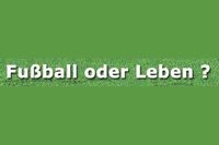   SIMON & FARNBERGER :Fußball oder Leben?@Seebühne Hofstetten - Grünau