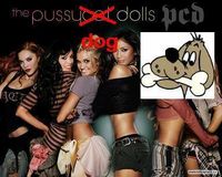 Pussy"Dog"Dolls :D