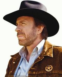 Chuck Norris liest keine Bücher: Er starrt sie so lange an, bis sie ihm freiwillig sagen was er wissen will.