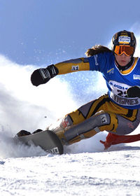 Snowboard/Freestyle Halfpipe/Ski Cross@Bormio