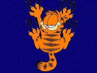 Ich bin wie Garfield ich liebe Lasagne und hasse Montag