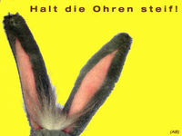 Halt die Ohren steif!