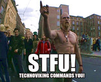 all heil das technoviking