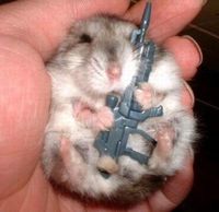 Gruppenavatar von Hilfe,mein Hamster frisst mich auf!!!!!!!!!!!!!!!!!!!!!!!!!!!!!!!