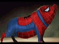 Gruppenavatar von °°°°°°°°°°SPIDER SCHWEIN°°°°°°°°°°°°