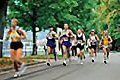 3-Länder-Eck Sparkassen Marathon@Insel Mainau