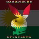 Wir sind in Kurdistan geboren .(stolz darauf)