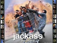 Gruppenavatar von Jackass des geilste