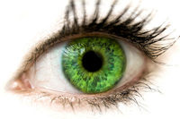 Gruppenavatar von braune Augen sind gut, grüne Augen sind besser!!