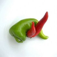 paprika ist auch nur ein gemüse