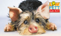 >>>>>>>>>>>>>>>>* ByE ByE  ScHwEinEhuNd *