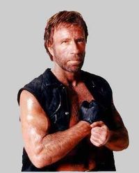 Gruppenavatar von Godzilla ist die japanische Verfilmung von CHUCK NORRIS erstem Besuch in Tokio ! ! ! !