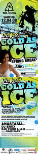 STYLES meets COLD AS ICE (Beach Mountain) presents ANASTASIA (MTV), DJ EROX...@Gaskessel