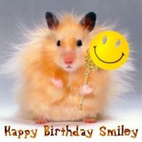 Smiley have birthday