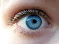 Durch blaue Augen sieht man besser!