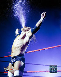 Triple H is the best!!!!