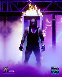 The Undertaker ------> Die größe Wrestling Legende
