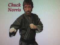 Gruppenavatar von CHUCK NORRIS--wenn du chuck norris siehst,sieht er dich dann bist du nur noch 1 sekunde von deinem tod entfernt!!