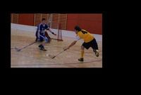 Floorballverein (FBV) Wels