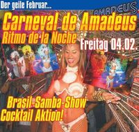 Carneval de Amadeus