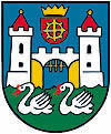 Schwanenstadt Fraktion