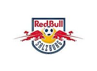 Gruppenavatar von DER BESTE VEREIN WOS GIBT RED BULL SALZBURG