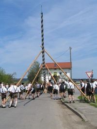 Gruppenavatar von Wir stellen den Maibaum ohne Kran auf ! ! ! ! ! ! ! ! ! ! ! ! ! ! ! !