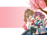 Gruppenavatar von Anime 4 ever