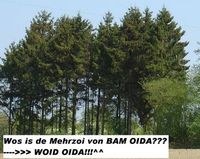 Wos is de Mehrzoi von BAM OIDA???......WOID OIDA!!!