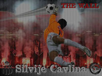 Silvije CAVLINA - The Wall