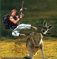 Gruppenavatar von Chuck Norris braucht keine Uzi............die Uzi braucht Chuck Norris !!