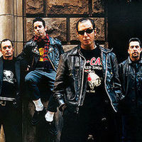 Social Distortion