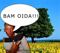 bamm oida_woid oida_festmeter oida_laufmeter oida_eiche oida_birke oida_tanne oida_fichtn oida_ais aus hoiz oida